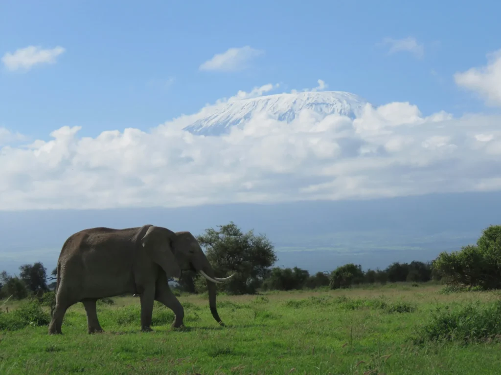 Travel scene from Amboseli National Park