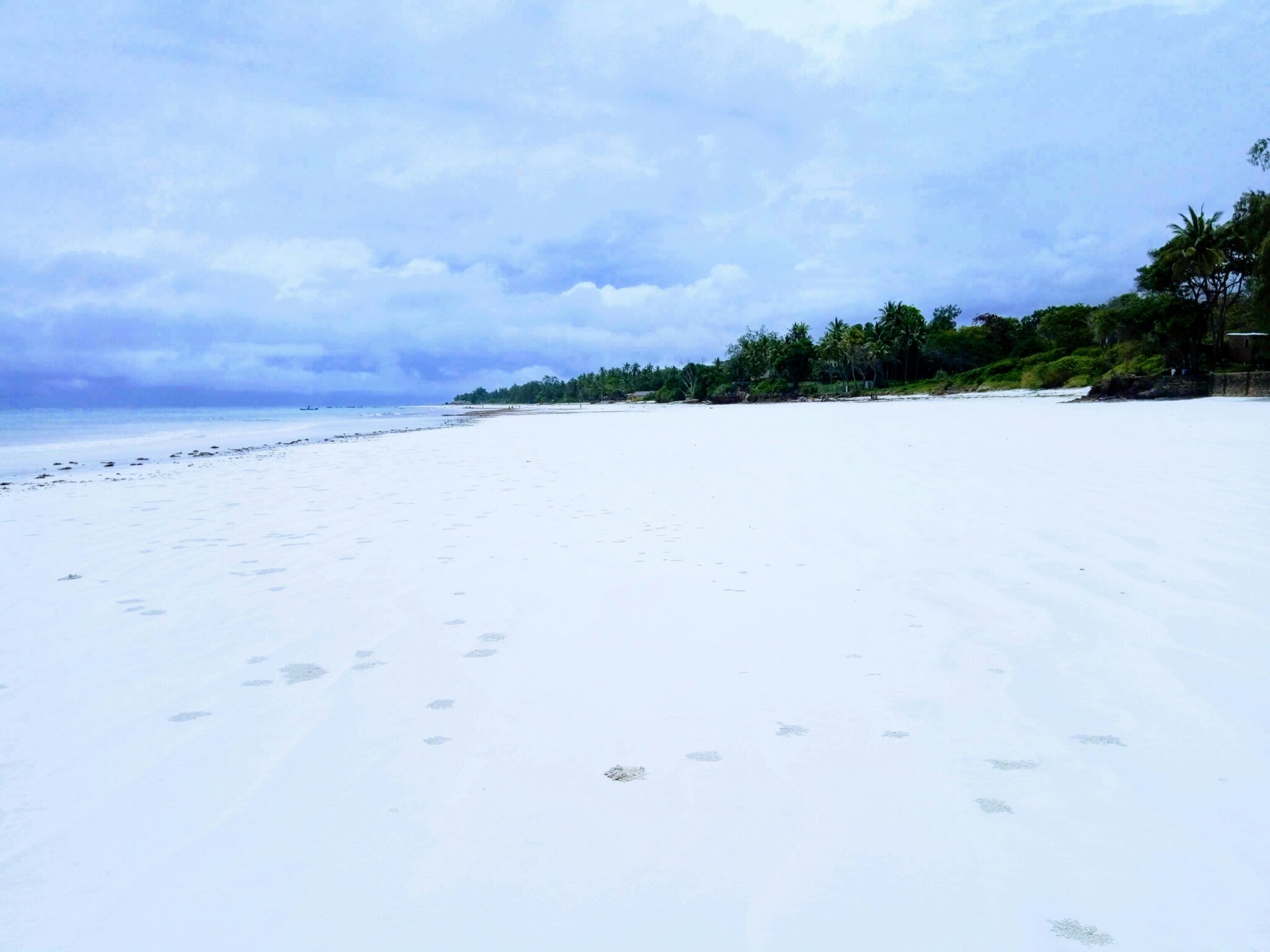 Travel scene for Bush and Beach Budget Kenyan Safari: 5 Days, image 5