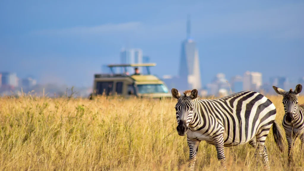 Travel scene for Full-Day Nairobi National Park, Sheldrick, Giraffe Centre and Karen Blixen Safari, image 4