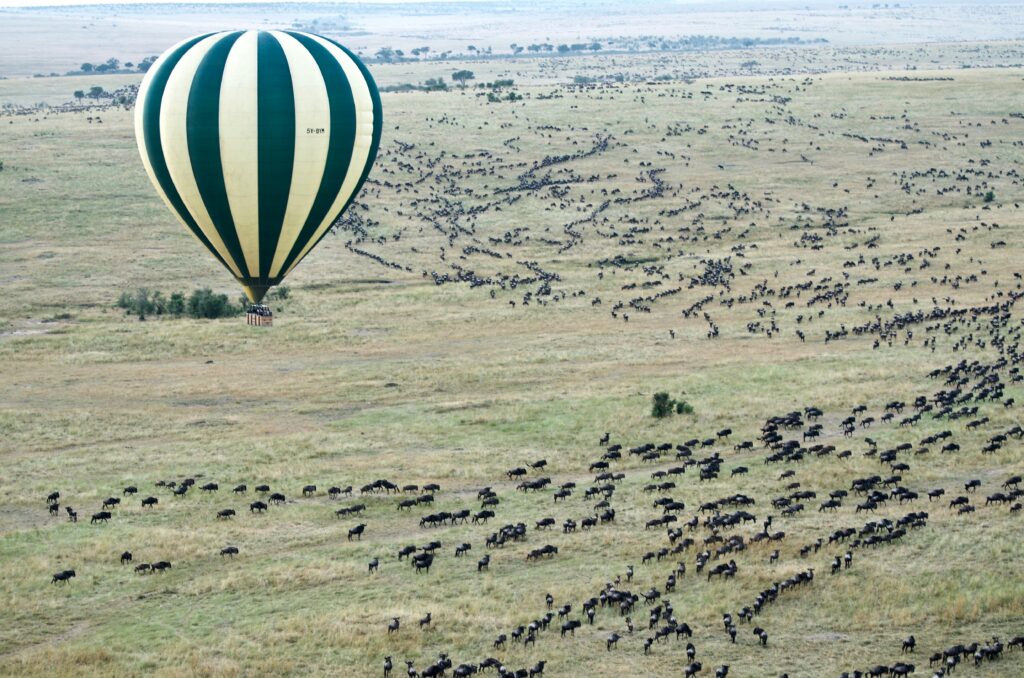 Travel scene for Masai Mara Migration & Amboseli Elephants Safari: 6 Days, image 10