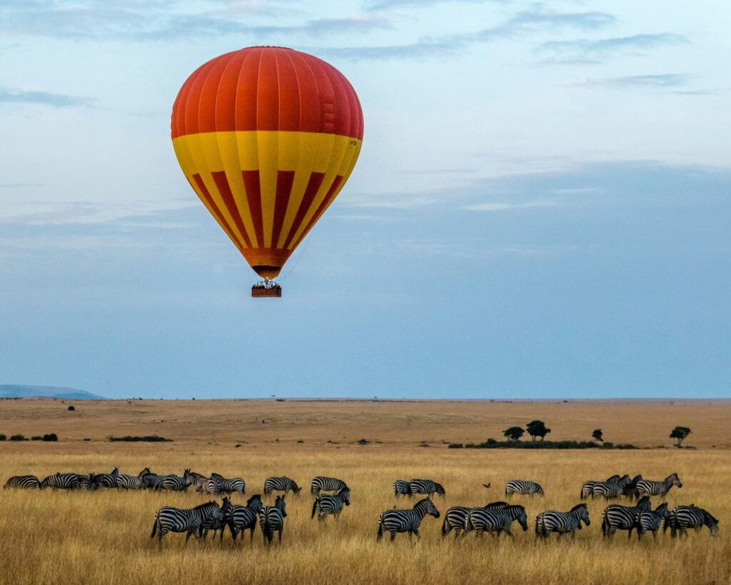Travel scene for Masai Mara Migration Fly-In Luxury Safari: 4 Days