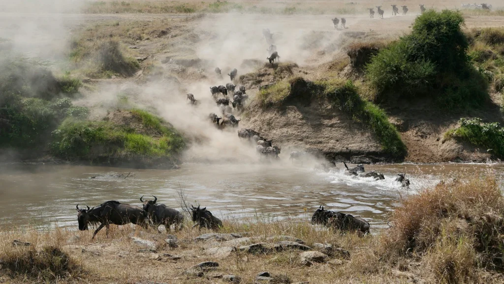 Travel scene for Masai Mara, Nakuru and Amboseli Family Safari: 5 Days, image 16