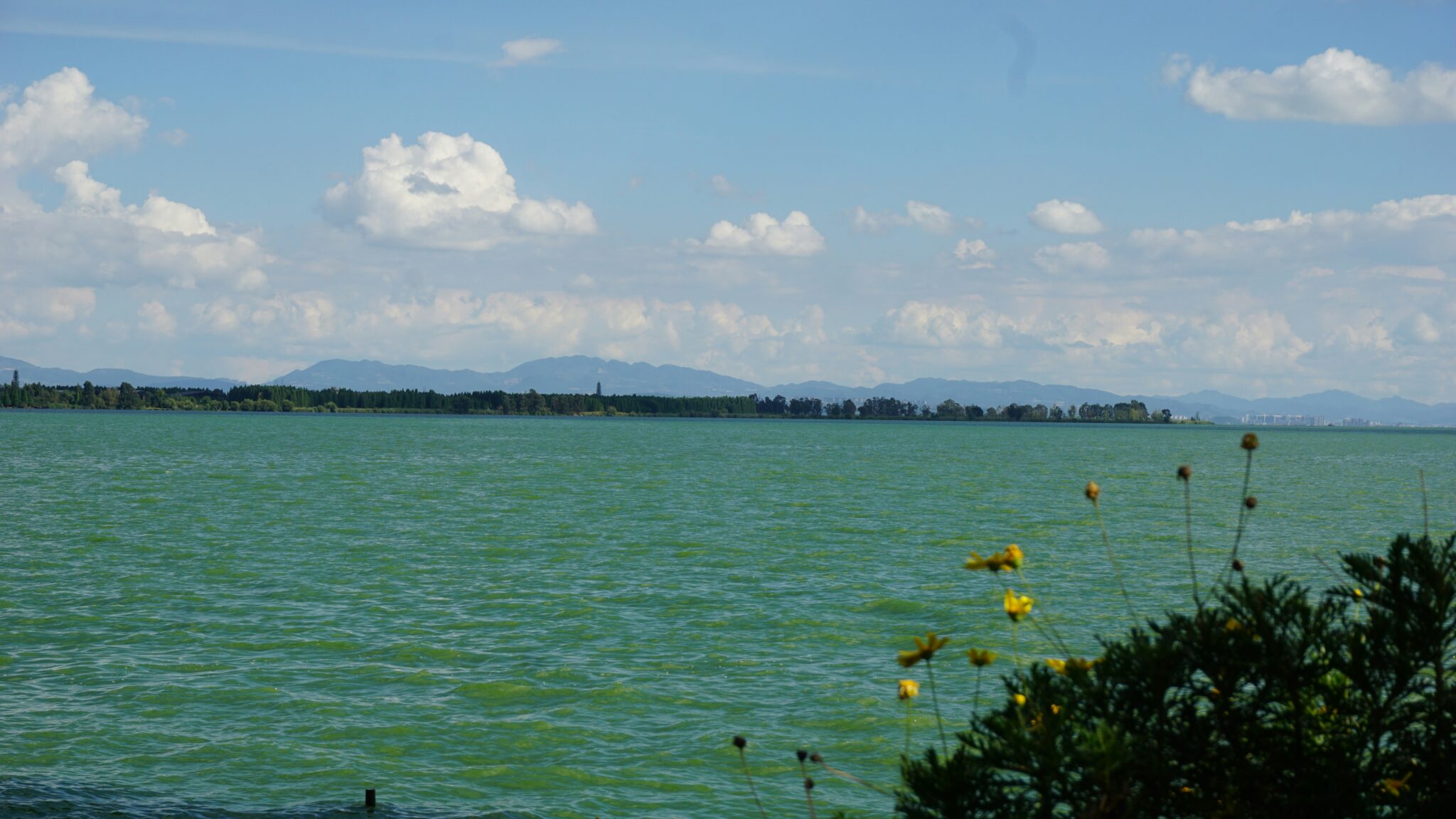 Travel scene for Masai Mara & Nakuru Migration Safari: 4 Days, image 2