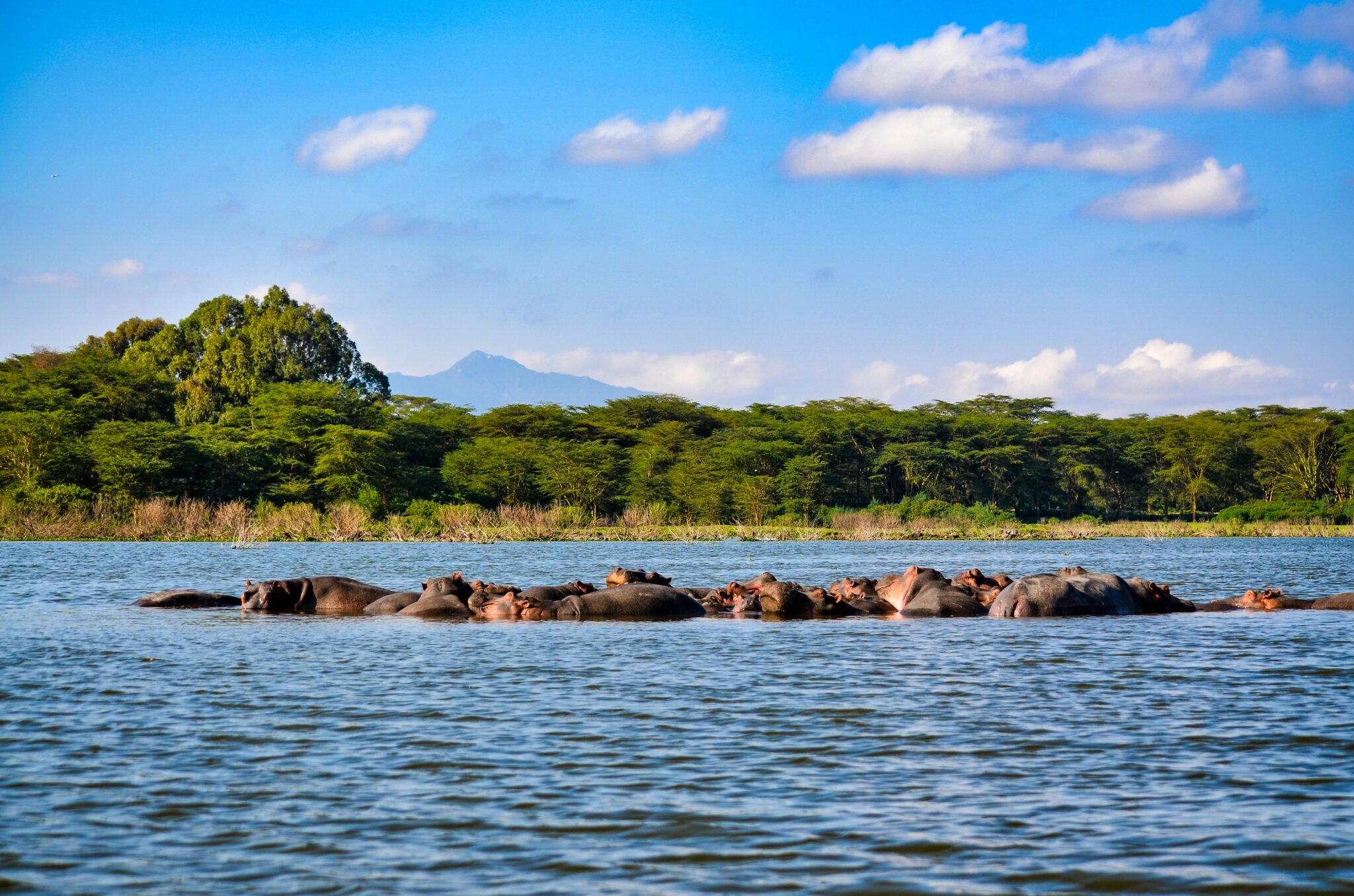 Travel scene for Masai Mara & Nakuru Migration Safari: 4 Days, image 4
