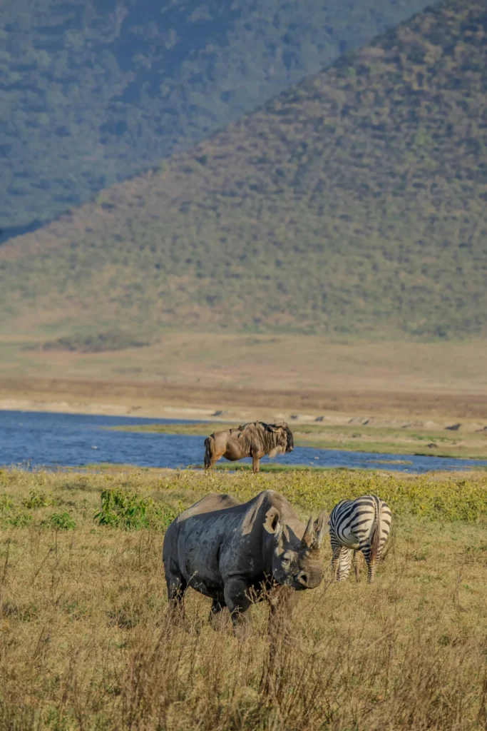 Travel scene from Ngorongoro Crater