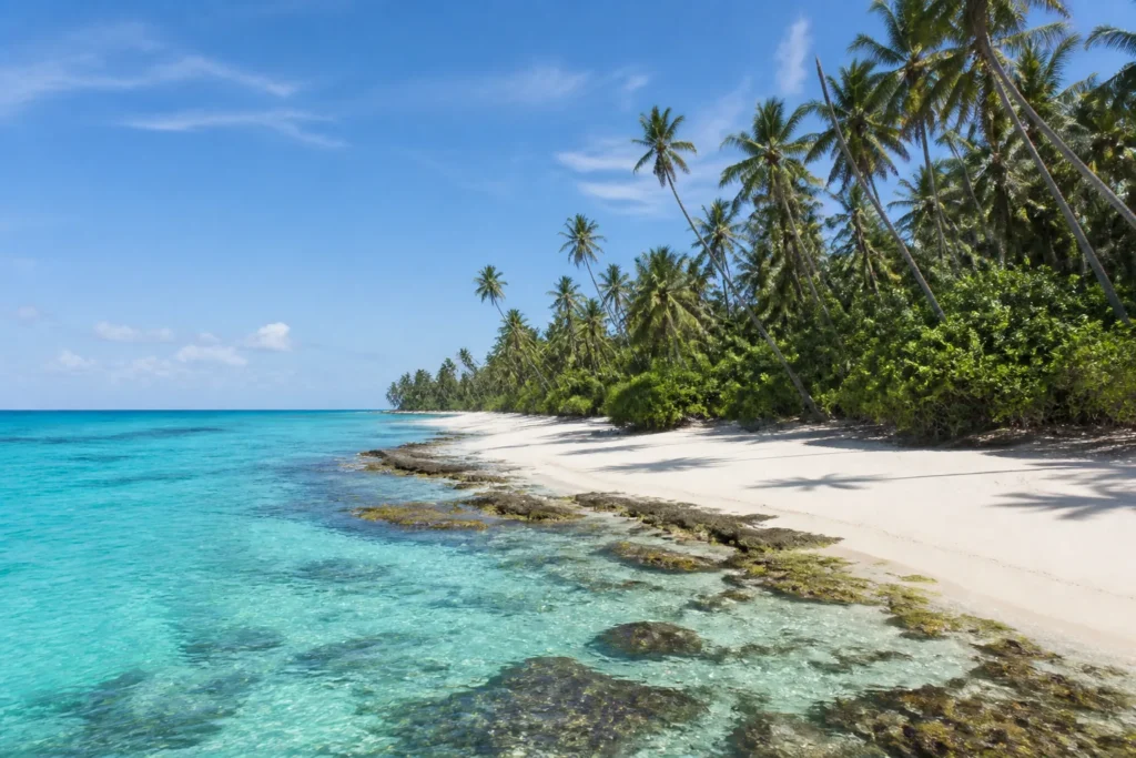 Tropical coastline with pale sand, blue water and palms
