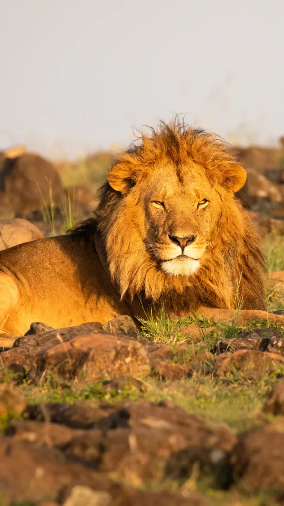 Travel scene from Taita Hills Wildlife Sanctuary